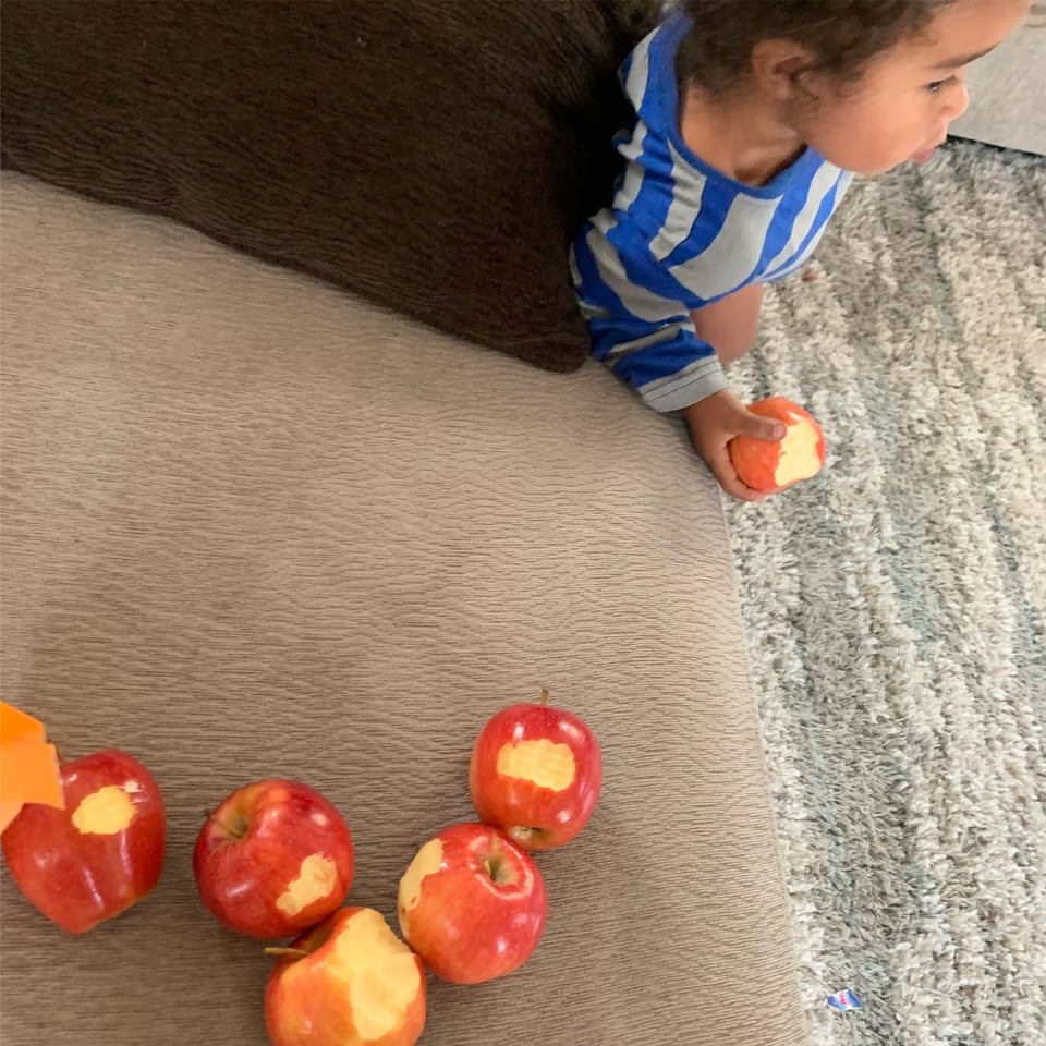 Kid taking bite from all apples Blank Meme Template