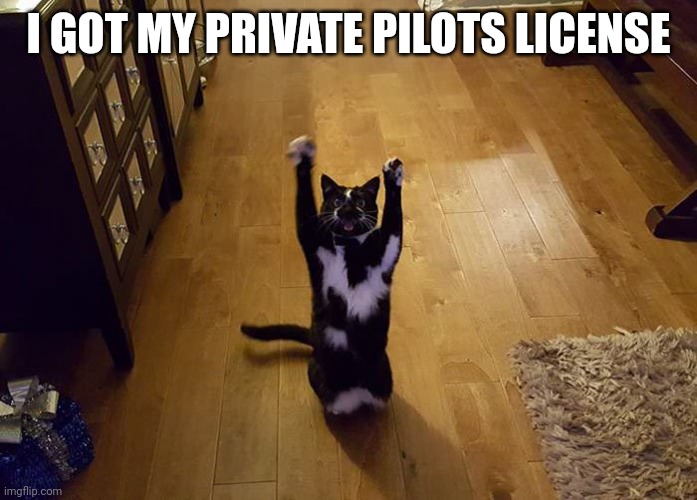 Yippee, now crashing means something(unlike in the simulator) | I GOT MY PRIVATE PILOTS LICENSE | image tagged in yipeee cat | made w/ Imgflip meme maker