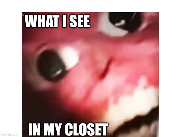 Closet monster | WHAT I SEE; IN MY CLOSET | image tagged in scary,closet,monster | made w/ Imgflip meme maker