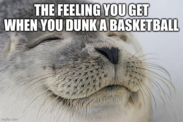 The Feeling You Get When You Dunk a Basketball | THE FEELING YOU GET WHEN YOU DUNK A BASKETBALL | image tagged in memes,satisfied seal,dunk,basketball,feeling | made w/ Imgflip meme maker