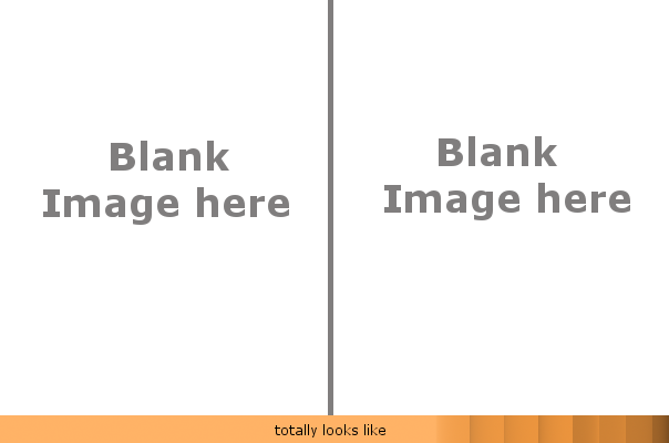 High Quality Totally Looks Like Blank Meme Template