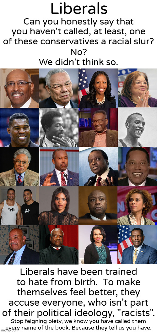 Racism never left the Democrat party.  It just changed it tactics.  Democrats have always been obsessed with race. | Liberals; Can you honestly say that you haven't called, at least, one of these conservatives a racial slur? No?
We didn't think so. Liberals have been trained to hate from birth.  To make themselves feel better, they accuse everyone, who isn't part of their political ideology, "racists". Stop feigning piety, we know you have called them every name of the book. Because they tell us you have. | image tagged in democrat racists | made w/ Imgflip meme maker