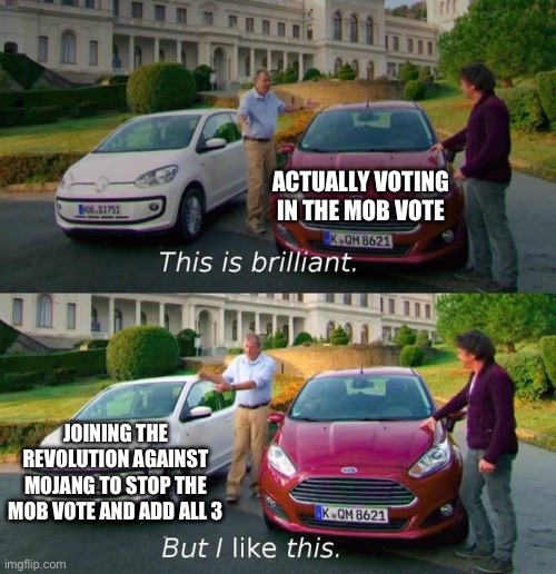 It is time someone does something | ACTUALLY VOTING IN THE MOB VOTE; JOINING THE REVOLUTION AGAINST MOJANG TO STOP THE MOB VOTE AND ADD ALL 3 | image tagged in this is brilliant but i like this,yes | made w/ Imgflip meme maker