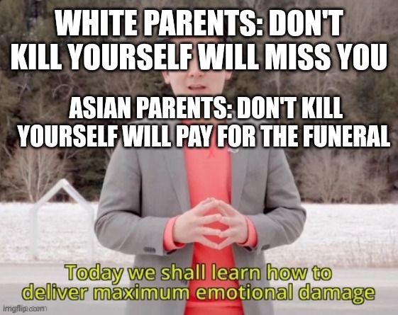 maximum emotional damage | WHITE PARENTS: DON'T KILL YOURSELF WILL MISS YOU; ASIAN PARENTS: DON'T KILL YOURSELF WILL PAY FOR THE FUNERAL | image tagged in maximum emotional damage | made w/ Imgflip meme maker