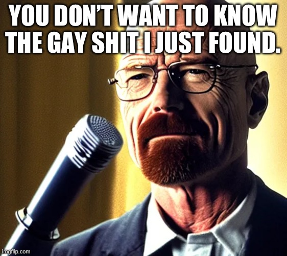 Walter | YOU DON’T WANT TO KNOW THE GAY SHIT I JUST FOUND. | image tagged in walter | made w/ Imgflip meme maker