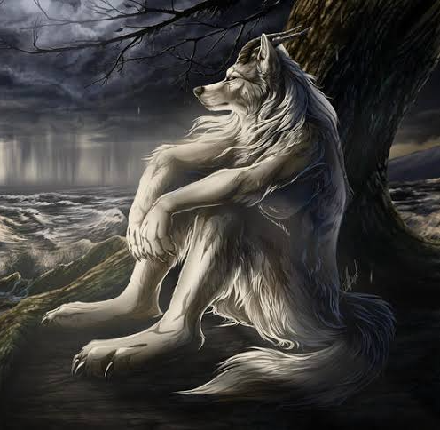 Aukaat dikha di Blank Meme Template