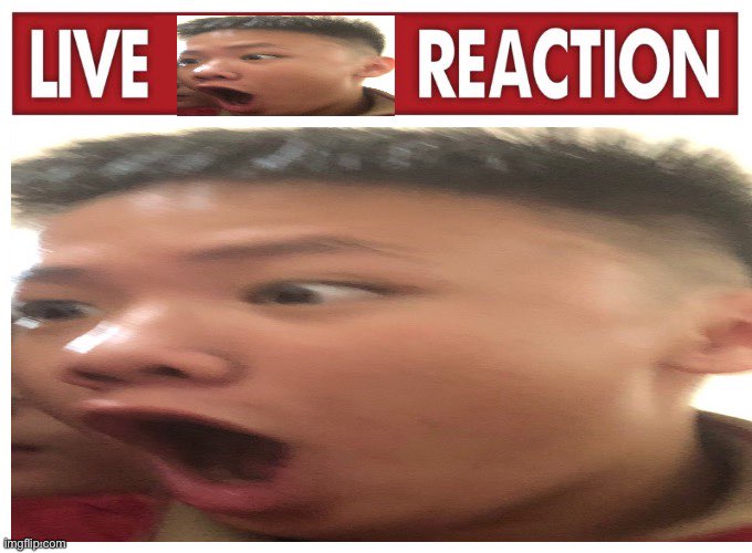 My honest reaction Blank Meme Template