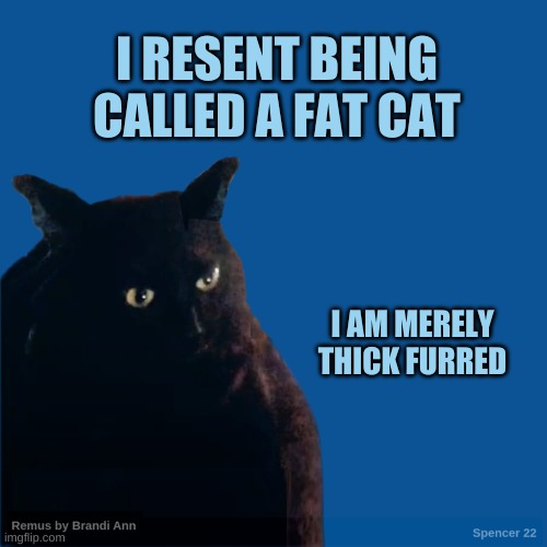 Contemplate Cat | I RESENT BEING CALLED A FAT CAT; I AM MERELY THICK FURRED | image tagged in contemplate cat,fat,furry,more to love,i love you | made w/ Imgflip meme maker