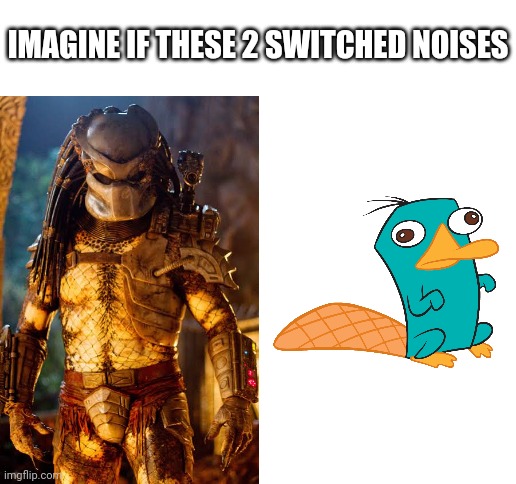 Could you imagine that | IMAGINE IF THESE 2 SWITCHED NOISES | image tagged in blank white template,predator,perry the platypus | made w/ Imgflip meme maker