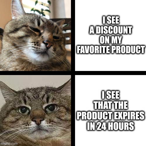 Discount vs 24 hours | I SEE A DISCOUNT ON MY FAVORITE PRODUCT; I SEE THAT THE PRODUCT EXPIRES IN 24 HOURS | image tagged in stepan cat,discount,price | made w/ Imgflip meme maker