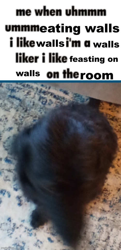 real thing my dog did | eating walls; walls; walls; feasting on; walls; room | image tagged in i'm a thing liker | made w/ Imgflip meme maker