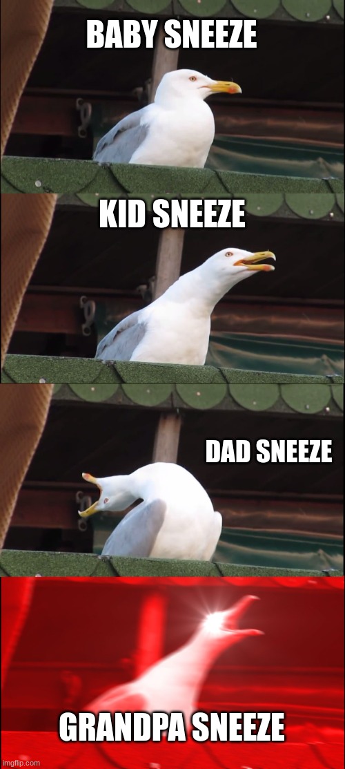 AH-CHOO! | BABY SNEEZE; KID SNEEZE; DAD SNEEZE; GRANDPA SNEEZE | image tagged in memes,inhaling seagull,sneeze,comparison,funny | made w/ Imgflip meme maker
