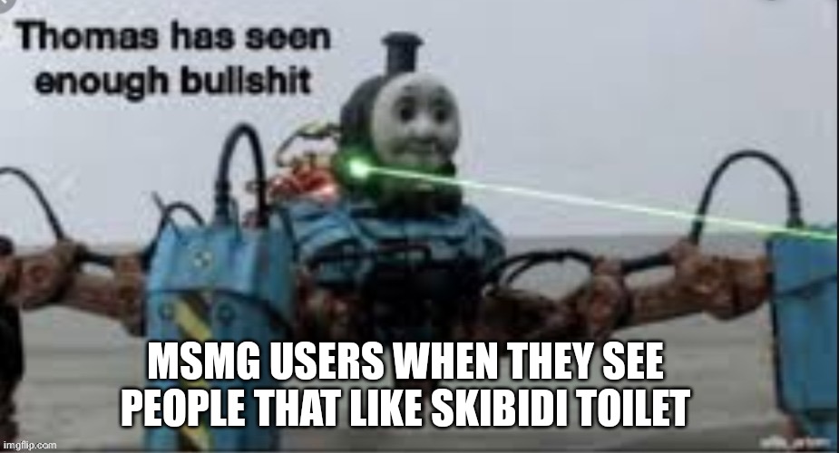 MSMG USERS WHEN THEY SEE PEOPLE THAT LIKE SKIBIDI TOILET | image tagged in thomas has seen enough bullshit temp | made w/ Imgflip meme maker