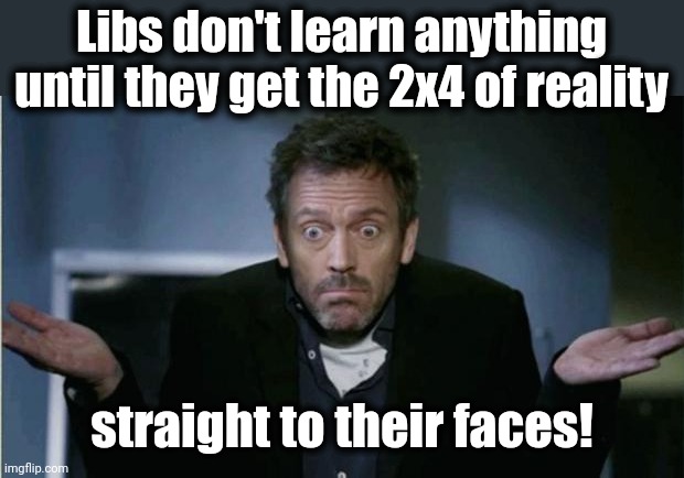 SHRUG | Libs don't learn anything until they get the 2x4 of reality straight to their faces! | image tagged in shrug | made w/ Imgflip meme maker