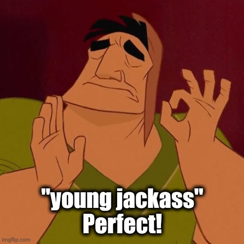 When X just right | "young jackass"
Perfect! | image tagged in when x just right | made w/ Imgflip meme maker