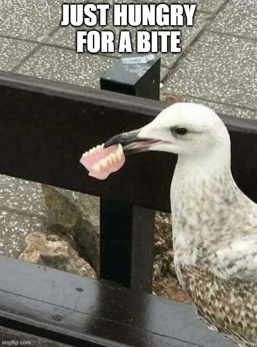 Just a Bite | JUST HUNGRY FOR A BITE | image tagged in unsee juice | made w/ Imgflip meme maker