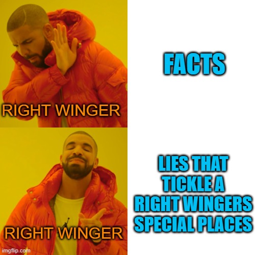 Drake Hotline Bling Meme | RIGHT WINGER RIGHT WINGER FACTS LIES THAT TICKLE A RIGHT WINGERS SPECIAL PLACES | image tagged in memes,drake hotline bling | made w/ Imgflip meme maker