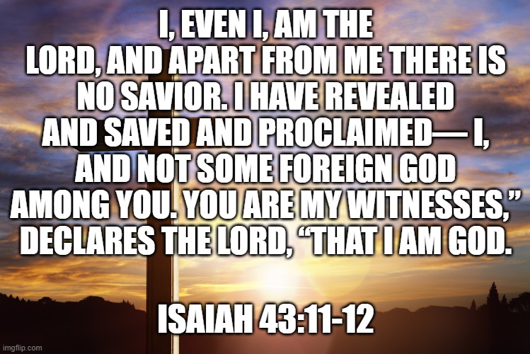 Bible Verse of the Day | I, EVEN I, AM THE LORD, AND APART FROM ME THERE IS NO SAVIOR. I HAVE REVEALED AND SAVED AND PROCLAIMED— I, AND NOT SOME FOREIGN GOD AMONG YOU. YOU ARE MY WITNESSES,” DECLARES THE LORD, “THAT I AM GOD. ISAIAH 43:11-12 | image tagged in bible verse of the day | made w/ Imgflip meme maker