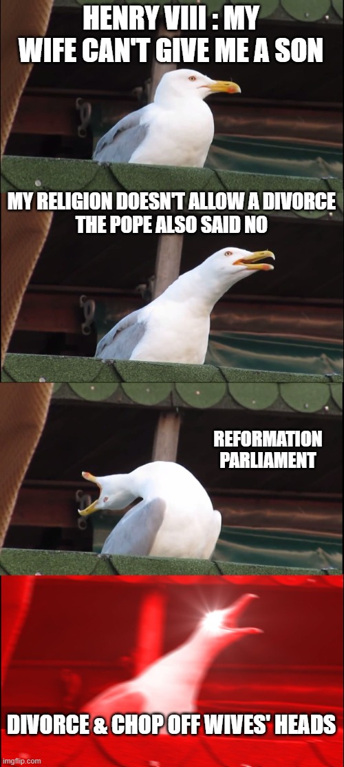 Reformation | HENRY VIII : MY WIFE CAN'T GIVE ME A SON; MY RELIGION DOESN'T ALLOW A DIVORCE
THE POPE ALSO SAID NO; REFORMATION PARLIAMENT; DIVORCE & CHOP OFF WIVES' HEADS | image tagged in memes,inhaling seagull | made w/ Imgflip meme maker