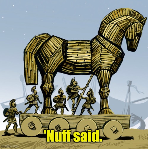 Trojan horse | 'Nuff said. | image tagged in trojan horse | made w/ Imgflip meme maker