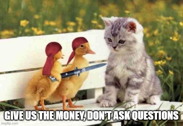 Duck Robbery | GIVE US THE MONEY, DON'T ASK QUESTIONS | image tagged in funny ducks | made w/ Imgflip meme maker