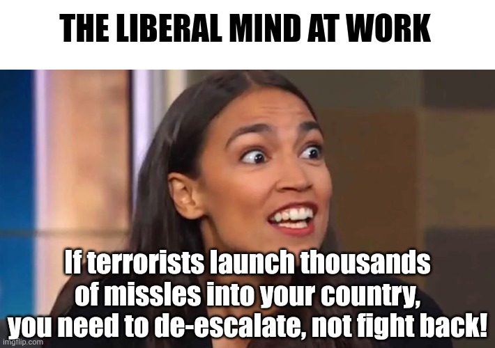 Are liberals aware there is a real world where actions have consequences? | THE LIBERAL MIND AT WORK; If terrorists launch thousands of missles into your country, you need to de-escalate, not fight back! | image tagged in crazy aoc,liberal logic,terrorists,unrealistic expectations,democratic party,stupid liberals | made w/ Imgflip meme maker
