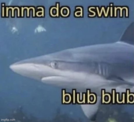 Imma do Swim Blank Meme Template