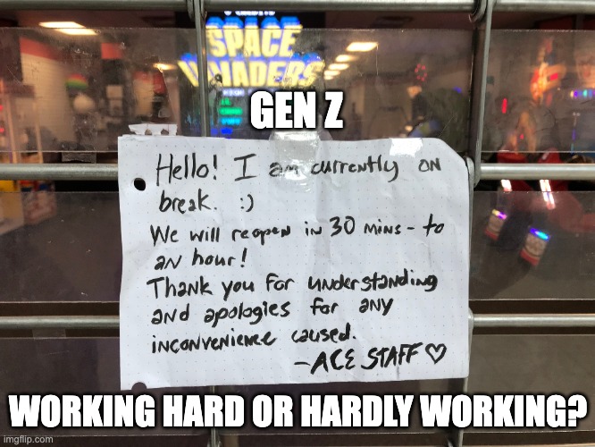 Nice gig if you can get it.  I wonder if it pays $15/hr, too? | GEN Z; WORKING HARD OR HARDLY WORKING? | image tagged in gen z humor | made w/ Imgflip meme maker