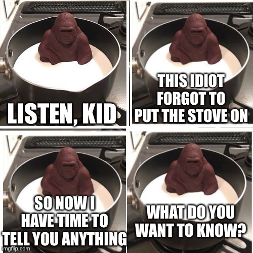 chocolate gorilla | THIS IDIOT FORGOT TO PUT THE STOVE ON; LISTEN, KID; SO NOW I HAVE TIME TO TELL YOU ANYTHING; WHAT DO YOU WANT TO KNOW? | image tagged in chocolate gorilla,memes,funny | made w/ Imgflip meme maker