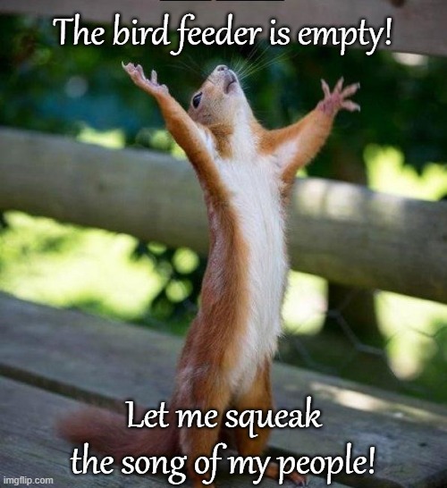 All Hail | The bird feeder is empty! Let me squeak the song of my people! | image tagged in all hail,squirrel | made w/ Imgflip meme maker