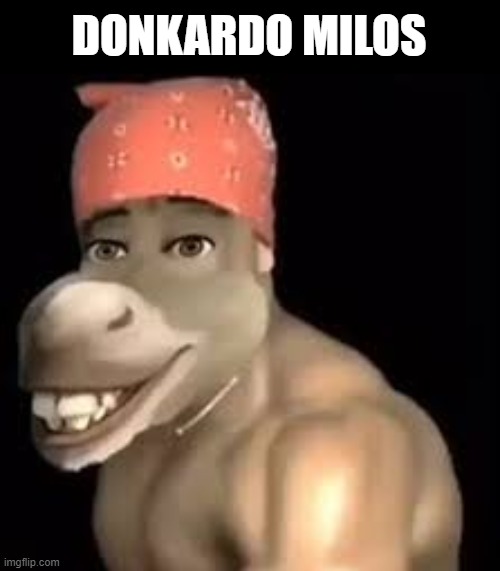 it's getting hot in here... | DONKARDO MILOS | image tagged in ricardo milos,donkey from shrek | made w/ Imgflip meme maker