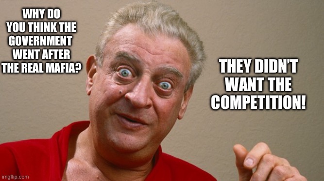 Rodney Dangerfield | WHY DO YOU THINK THE GOVERNMENT 
WENT AFTER THE REAL MAFIA? THEY DIDN’T WANT THE COMPETITION! | image tagged in rodney dangerfield | made w/ Imgflip meme maker