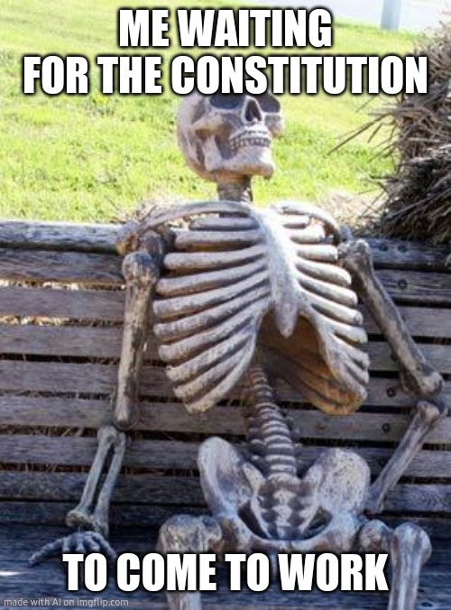Waiting Skeleton Meme | ME WAITING FOR THE CONSTITUTION; TO COME TO WORK | image tagged in memes,waiting skeleton | made w/ Imgflip meme maker