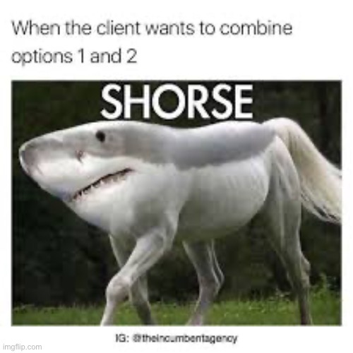 image tagged in funny | made w/ Imgflip meme maker