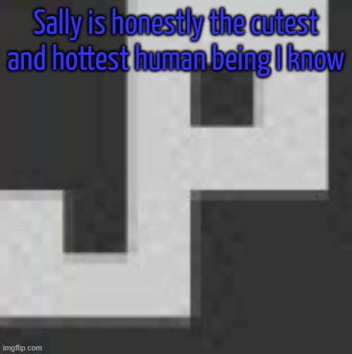 potatchips pfp better | Sally is honestly the cutest and hottest human being I know | image tagged in potatchips pfp better | made w/ Imgflip meme maker