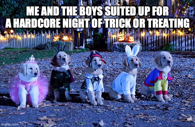 spooky buddies | ME AND THE BOYS SUITED UP FOR A HARDCORE NIGHT OF TRICK OR TREATING | image tagged in funny,halloween,lol,meme,fun,spooky | made w/ Imgflip meme maker