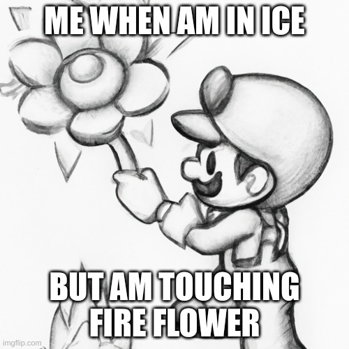 me when i do the mario | ME WHEN AM IN ICE; BUT AM TOUCHING FIRE FLOWER | image tagged in super mario | made w/ Imgflip meme maker