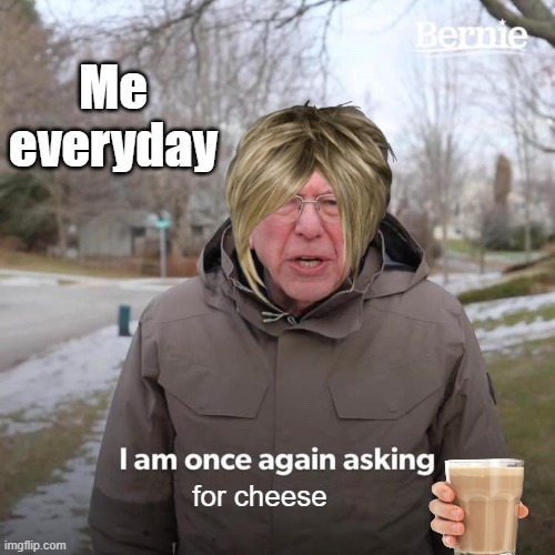 Bernie I Am Once Again Asking For Your Support Meme | Me everyday; for cheese | image tagged in memes,bernie i am once again asking for your support,cheese | made w/ Imgflip meme maker