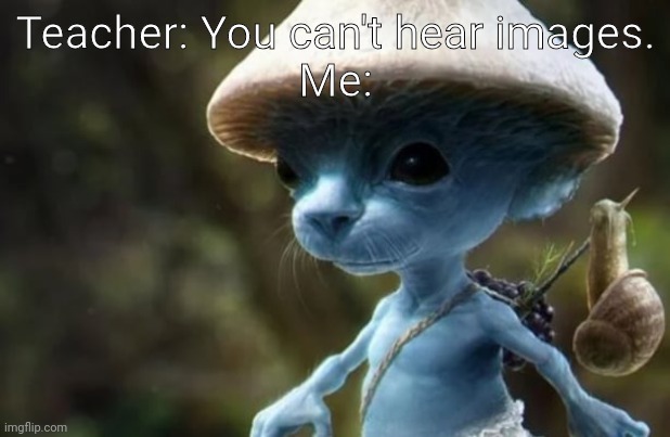 I feel like I should just acknowledge this | Teacher: You can't hear images.
Me: | image tagged in smurf,cat,why no smurf cat tag | made w/ Imgflip meme maker