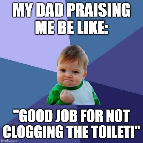 great job kid | MY DAD PRAISING ME BE LIKE:; "GOOD JOB FOR NOT CLOGGING THE TOILET!" | image tagged in memes,success kid | made w/ Imgflip meme maker