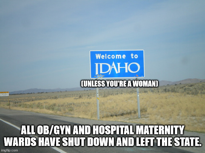 well, well, well, if it isn't the consequences of their actions. | (UNLESS YOU'RE A WOMAN); ALL OB/GYN AND HOSPITAL MATERNITY WARDS HAVE SHUT DOWN AND LEFT THE STATE. | made w/ Imgflip meme maker