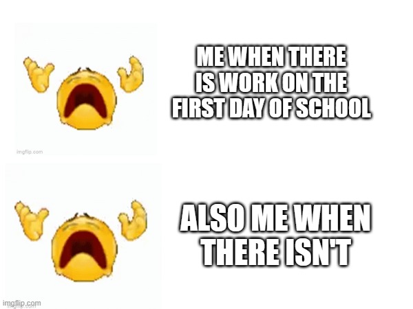 forever hate school | ME WHEN THERE IS WORK ON THE FIRST DAY OF SCHOOL; ALSO ME WHEN THERE ISN'T | image tagged in school | made w/ Imgflip meme maker