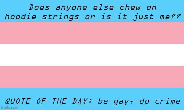 Trans Flag | Does anyone else chew on hoodie strings or is it just me?? QUOTE OF THE DAY: be gay, do crime | image tagged in trans flag | made w/ Imgflip meme maker