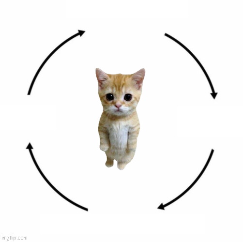 High Quality Kitty Cycle Blank Meme Template