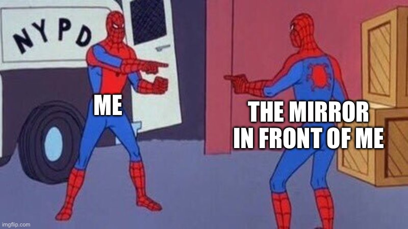 spiderman pointing at spiderman | ME; THE MIRROR IN FRONT OF ME | image tagged in spiderman pointing at spiderman | made w/ Imgflip meme maker