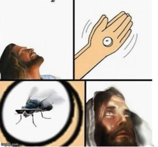 helm gnaw :skull: | image tagged in comics/cartoons,jesus,fly,bruh,i found this on reddit | made w/ Imgflip meme maker