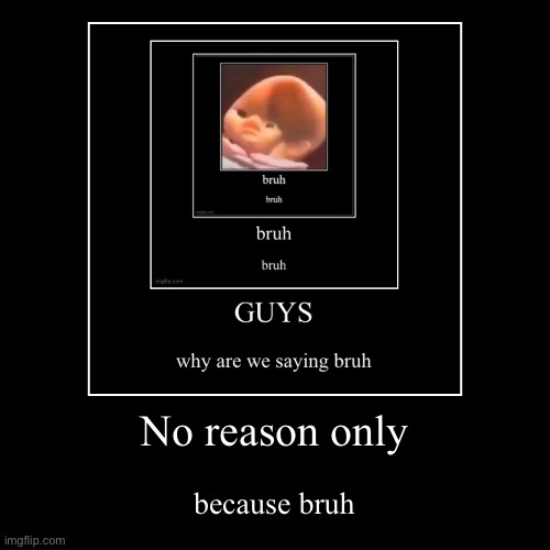 No reason only | because bruh | image tagged in funny,demotivationals | made w/ Imgflip demotivational maker