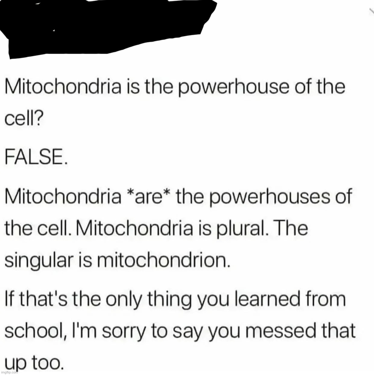 NOOOOOOOOOOOOOOOOOOOOOOOO | image tagged in mitochondria,mitochondria is the powerhouse of the cell,memes,repost,science | made w/ Imgflip meme maker