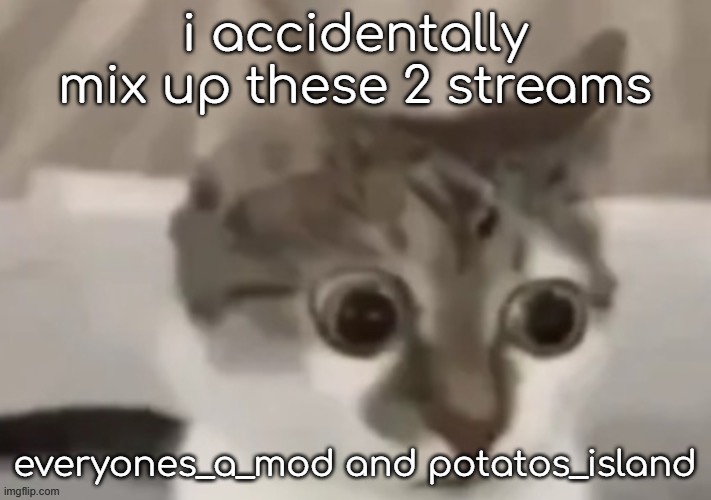 bombastic side eye cat | i accidentally mix up these 2 streams; everyones_a_mod and potatos_island | image tagged in bombastic side eye cat | made w/ Imgflip meme maker