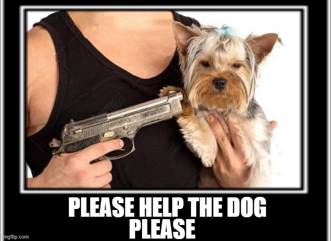 PLEASE; PLEASE HELP THE DOG | made w/ Imgflip meme maker